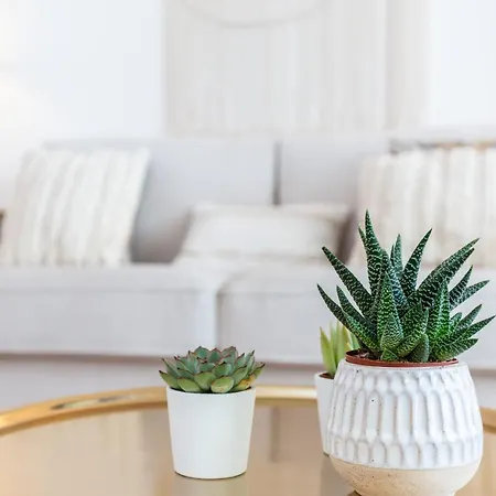 Lejlighed Fabrica - Meia Flat T1